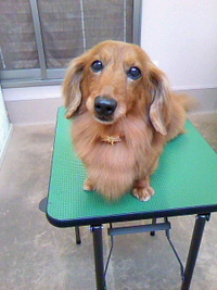 若返り～な2人☆ 2011/05/25 21:45:04