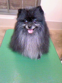 ペロッとね☆ 2011/05/30 17:51:55