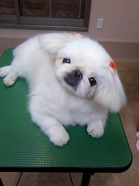 慣れっこ☆ 2011/06/01 18:47:07