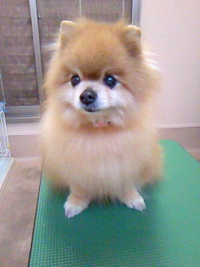 久しぶり～☆ 2011/05/23 23:04:32
