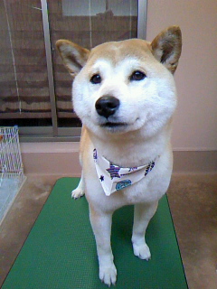 久しぶり～☆