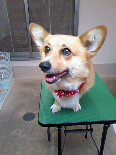 バンダナがお似合い☆