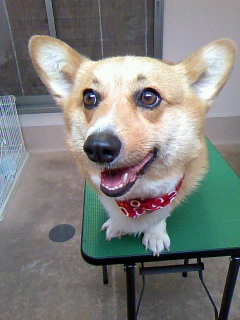 バンダナがお似合い☆