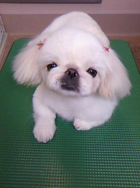 うっとり～☆ 2011/06/21 21:35:42