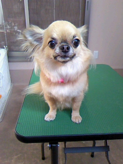 スヌたん☆