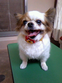 すっきりん☆ 2011/06/26 21:12:53