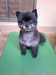 今年もこの季節☆