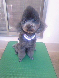 2人ともようこそ～☆ 2011/06/29 19:28:06