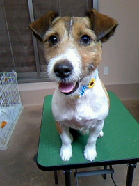 久しぶり～☆ 2011/07/09 20:36:01