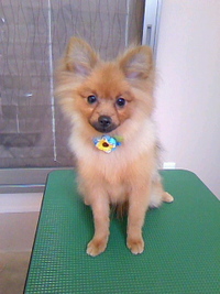 ようこそ～☆ 2011/07/22 23:43:51