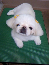 キラキラ☆ 2011/07/29 20:56:55