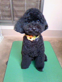 ハイテンション☆ 2011/08/01 22:33:59