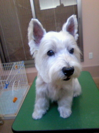 久しぶり～☆ 2011/04/17 19:37:01