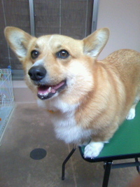 お姉ちゃん的存在☆ 2011/04/25 21:51:21