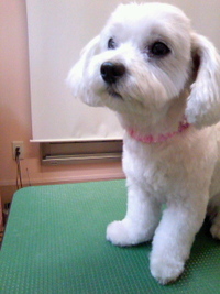 かいかい☆ 2011/05/01 19:24:10