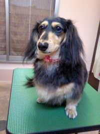 雨だけど☆ 2011/05/01 21:38:28