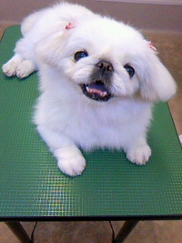 にこっ☆ 2011/05/10 19:52:49