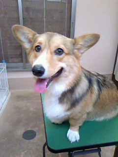 ノリノリ☆