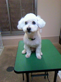 久しぶりな２人☆ 2011/05/11 19:23:54