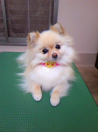 プリティ～☆ 2011/05/12 20:37:50