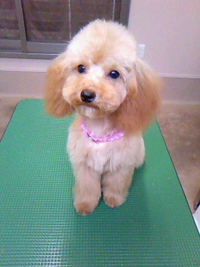 ようこそ～☆ 2011/05/12 22:15:51