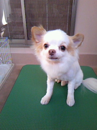 ライオン☆ 2011/05/19 22:43:35
