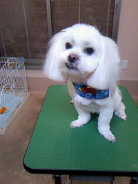スッキリ～～☆ 2011/06/04 21:31:02