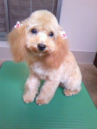 苦手だけど・・☆ 2011/06/14 23:10:09