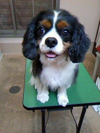 久しぶり～☆ 2011/06/18 22:14:58