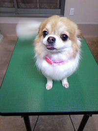 またまた仲良しな2人☆ 2011/06/20 22:13:40
