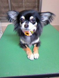 おててを揃えて☆ 2011/07/09 23:08:58