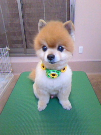 まめまめ～～☆ 2011/07/14 20:47:40