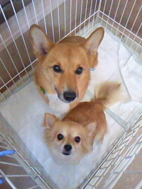 早く良くなるといいね☆ 2011/07/30 16:05:31