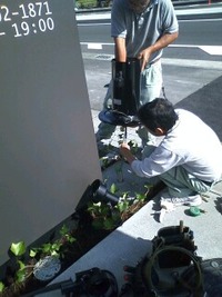 一目で分かるのが凄いよね。