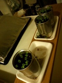 髪は間引いちゃいけません。