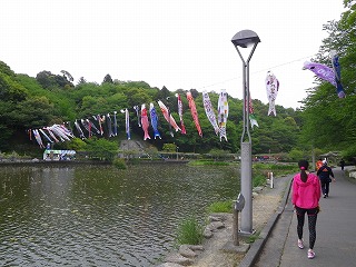 走ったり登ったり 藤枝の藤まつり