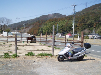 待ってました！