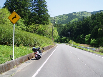 ON THE ROAD