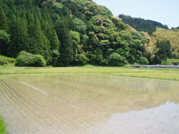 こどもの日 [ON THE ROAD]