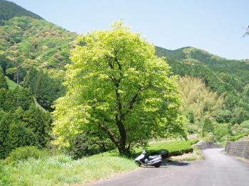 ON THE ROAD （連休最終日）
