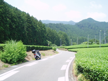 ON THE ROAD （静岡県榛原郡川根本町）
