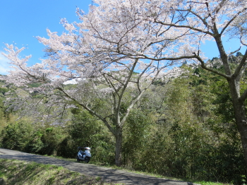 SPRING in 2014