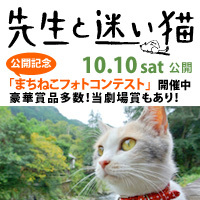 [猫好きの方要チェック]映画『先生と迷い猫』フォトコンテスト