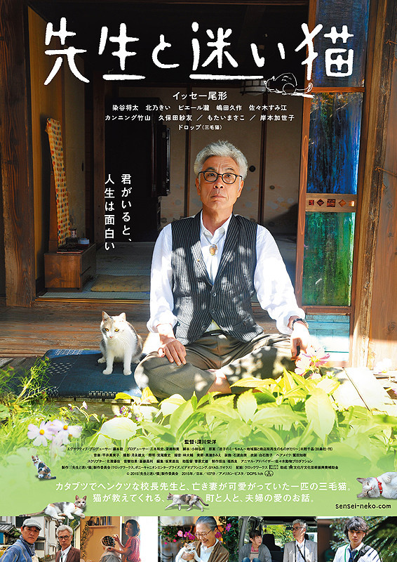 [猫好きの方要チェック]映画『先生と迷い猫』フォトコンテスト