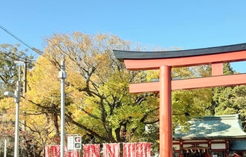 師走も平成安倍の市！