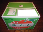 甘夏