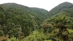 お墓参り