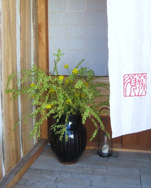 山笑う