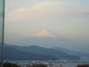 ミニミニ静岡観光