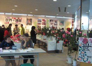 世界の椿展